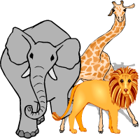 african_animal