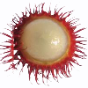 rambutan