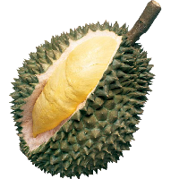 durian