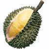 durian