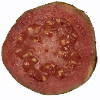 guava