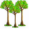 trees