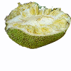 jack fruit