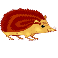 erizo