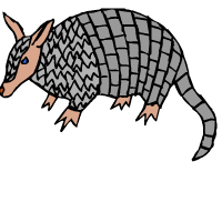 armadillo