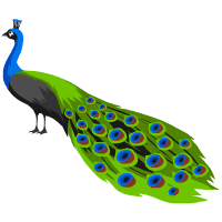 peacock