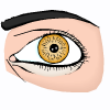 eye