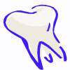 tooth