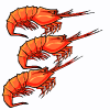 udang