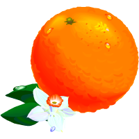 orange