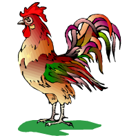 coq