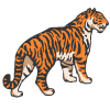 harimau