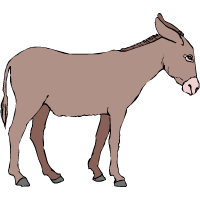 mule