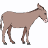 mule