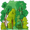 forêt