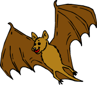 chauve-souris