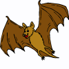 Fledermaus