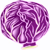 cabbage