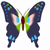 пеперуда