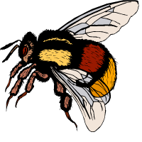 abeja