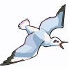 oiseau