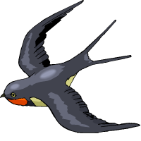 hirondelle