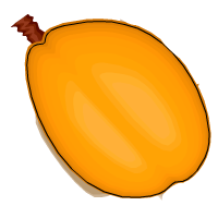 apricot