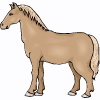 horse