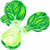 Brussels sprouts