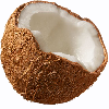 кокосов орех