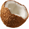 coconut