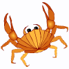 crab