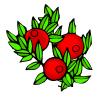 червениборовинки