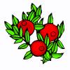 Preiselbeeren