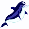 delfīns