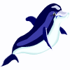 dolphin