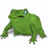 frog