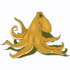 octopus