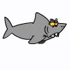 requin