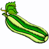 courgette