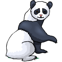 panda