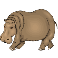 hippopotame