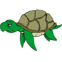 tortuemarine