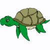 tortuga