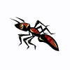 ant