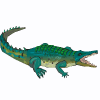 crocodile