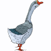 goose