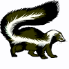 skunkss