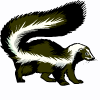 skunk