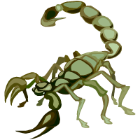 scorpion